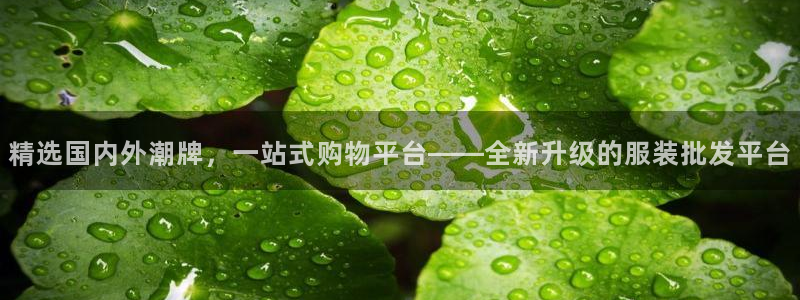 意昂体育3平台假的吗是真的吗