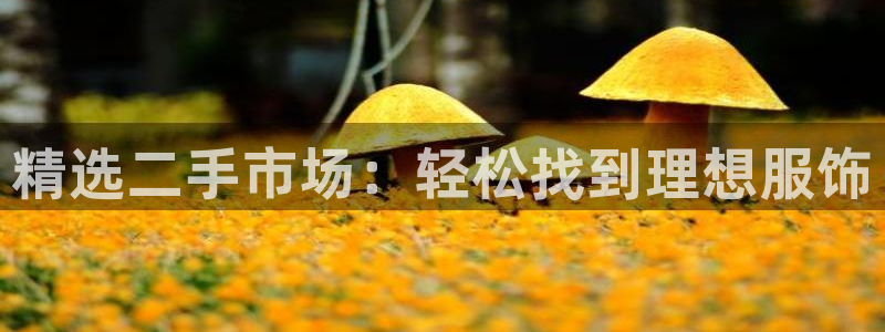 意昂体育3招商电话是多少啊
