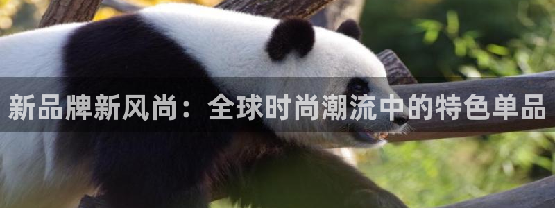 意昂体育3招商电话是多少号码：新品牌新风