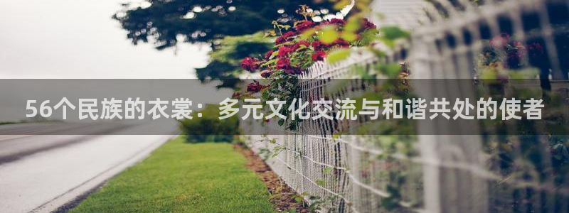 意昂体育3招商电话是多少啊