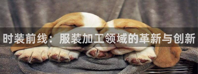 意昂体育3招商电话