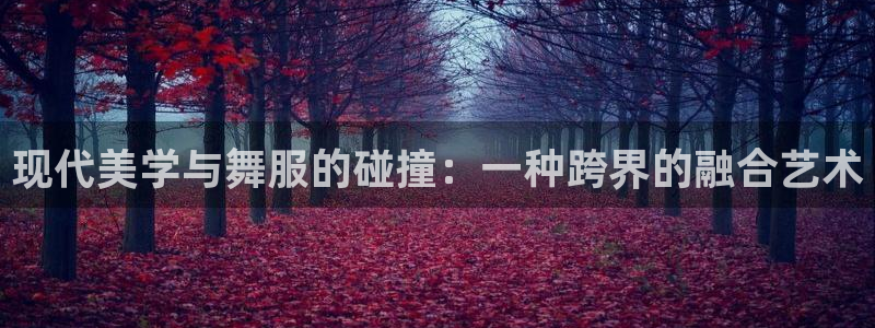 意昂体育3软件：现代美学与舞服的碰撞：一